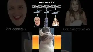 7 ноября 2023 г.