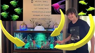 Adding 19 Glo Fish to our Green Lantern Aquarium!