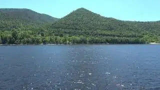 14 - Глава 14. Взаимное родство организмов; морфология; эмбриология; руди-ментарные органы.