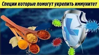 Специи которые помогут укрепить Иммунитет Человека Польза специй для Здоровья и Долголетия