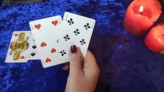 Чувства и мысли не отпускают😖Проявится ли Крестовый♣ к Червовой ♥ после долгого молчания🦊? 