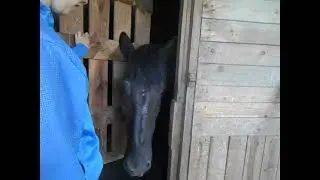 июль 2016. Малыш и дверь