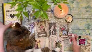 КАРТА ДНЯ | 7 вариантов | ТАЙМ-КОДЫ⬇️