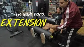 TODO lo que tienes que SABER sobre la EXTENSION DE CUADRICEPS  💪