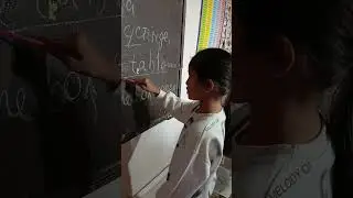 29 октября 2024 г.(3)