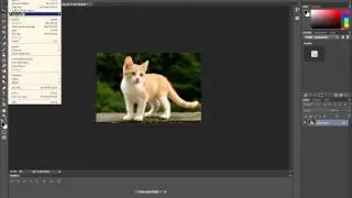 Image and Canvas Size dialog in Photoshop CC 2015