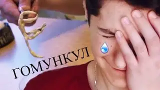 КАК СДЕЛАТЬ ГОМУНКУЛА?!?/Пародия/TheMaxiMan