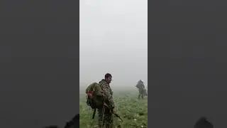 Демаркация границ в Зангезуре