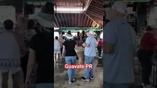 La Ruta del Lechon..Guavate PR! #shorts #puertorico #guavatepr