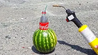 EXPERIENCE MELON D'EAU VS COCA COLA