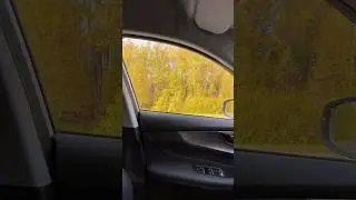 Золотая осень в Плесе