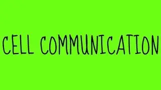Cell Communication!