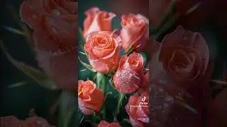 #добрыйдень#счастья#радости