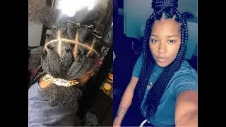 Jumbo Box Braids ( rubber band method )