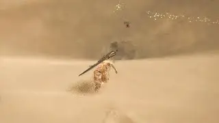 The Map Just Ate The Monster