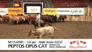 2012 Calgary Stampede Non Pro Classic 1st go High Score
