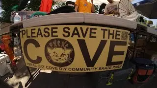 Feral Cat Cove 4th Year Anniversary