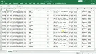 Import CSV Customer