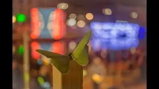 Butterflies