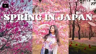 Japan in Spring 🌸🇯🇵 | Cherry blossom, light show, Kyoto, Tokyo