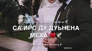 Новая чеченская 2020