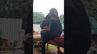 video dewasa 18+ 