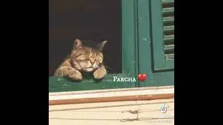 🌜🌪ANORNI Qalbu snig insolarga uhshataman 💔🥀