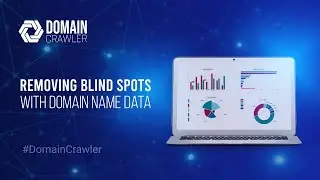 Removing blind spots with domain name data