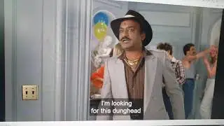 🇮🇳  Indian Pimp. I want my b1tches back.
