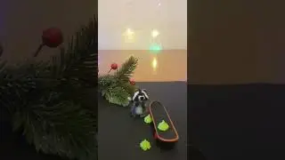 Funny raccoon eats candy and rides a scooter