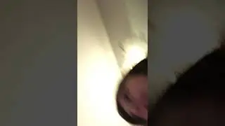 Prank