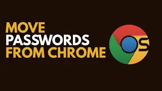 How to Import Passwords from Google Chrome into 1Password