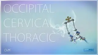 CHARSPINE OCT - system for occipito-cervico-thoracic spinestabilization