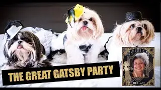THE GREAT GATSBY PARTY | GRANDMA'S BIRTHDAY | SHIH TZU FASHION OOTD | NO COPYRIGHT
