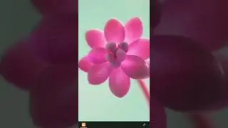 how to define variable in php