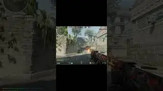 2ak hs kills 