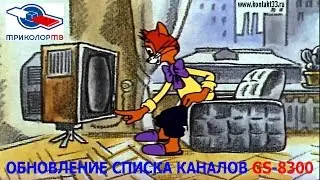 Обновление списка каналов GS 8300 и аналогов.