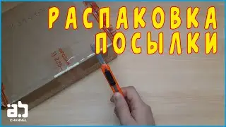 Unpacking a parcel from Golddisk store #20