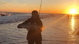 STRIPED BASS Fishing, Fall Run 2019, Long Island, NY