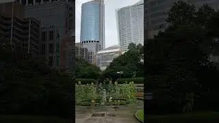Royal Botanic Garden, Sydney