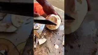 amazing palm fruit cutting skills | ICE APPLE | #shorts #youtubeshorts #nature #fruit