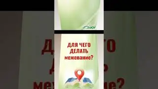 10 октября 2024 г.