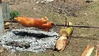 Pork Litchon In Philippines #video #youtube #travelvlog #litchon #ytshortsvideo Philippines
