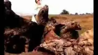 Georgische Musik