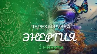 Медитация «Перезагрузка» :: Энергия :: Фам Рей