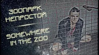Зоопарк непростой. Somewhere in the zoo.