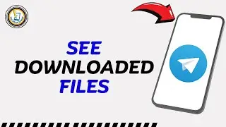 How to See Downloaded Files in Telegram