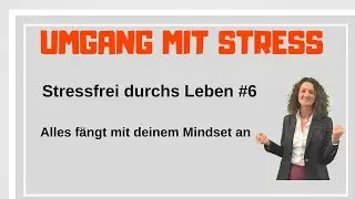 Stressfrei durch's Leben #6 ►► Alles fängt mit deinem Mindset an