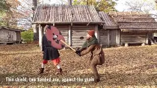 Thin and thick shield against Dane axe