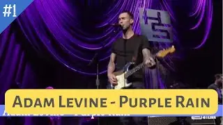 Adam Levine Purple Rain Prince